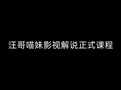 汪哥影视解说正式课程：剪映/PR教学/视解说剪辑5大黄金法则/全流程剪辑7把利器等等网赚项目-副业赚钱-互联网创业-资源整合八方网创