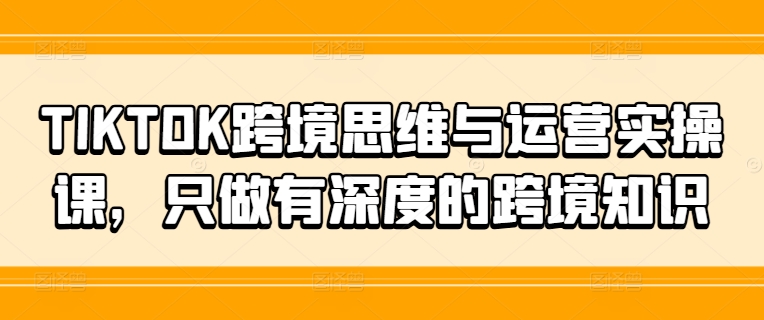 TIKTOK跨境思维与运营实操课，只做有深度的跨境知识网赚项目-副业赚钱-互联网创业-资源整合八方网创