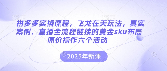 拼多多实操课程，飞龙在天玩法，真实案例，直播全流程链接的黄金sku布局原价操作六个活动网赚项目-副业赚钱-互联网创业-资源整合八方网创