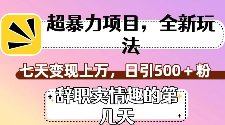 超暴利项目，全新玩法（辞职卖情趣的第几天），七天变现上万，日引500+粉网赚项目-副业赚钱-互联网创业-资源整合八方网创