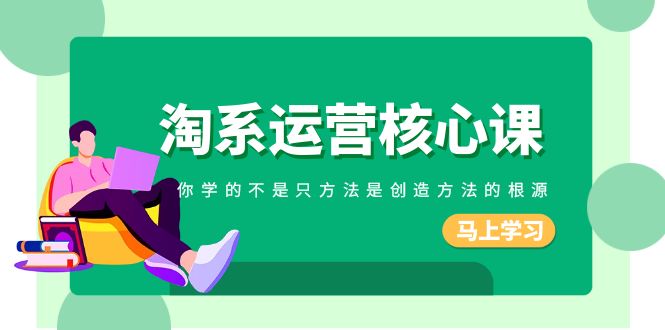 淘系运营核心课，你学的不只是方法而是创造方法的根源（190节课）网赚项目-副业赚钱-互联网创业-资源整合八方网创