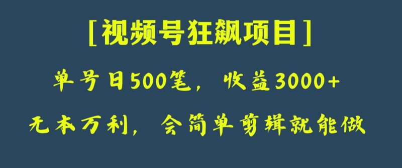日收款500笔，纯利润3000+，视频号狂飙项目！网赚项目-副业赚钱-互联网创业-资源整合八方网创