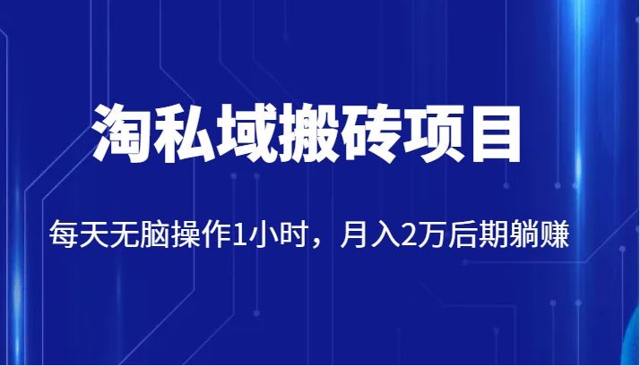 价值2980的淘私域搬砖项目，每天无脑操作1小时，月入2万后期躺赚网赚项目-副业赚钱-互联网创业-资源整合八方网创