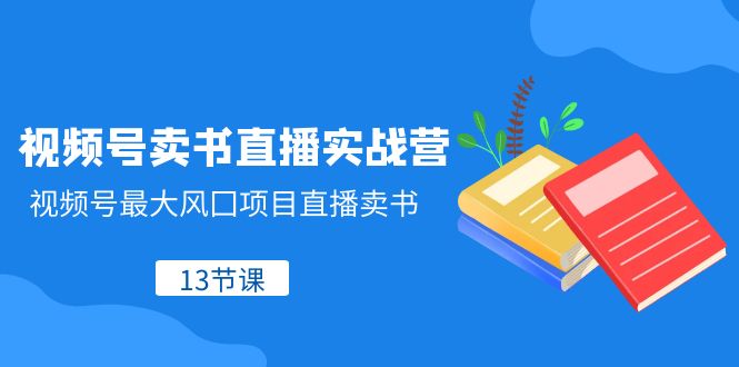 视频号卖书直播实战营，视频号最大风囗项目直播卖书（13节课）网赚项目-副业赚钱-互联网创业-资源整合八方网创