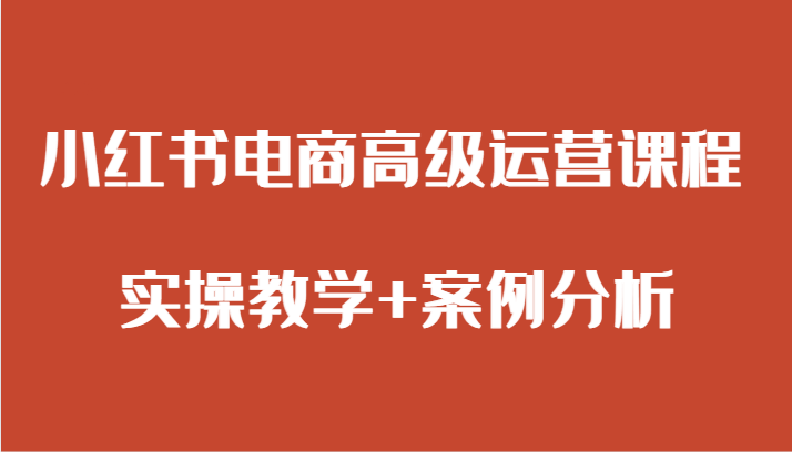 小红书电商高级运营课程 实操教学+案例分析网赚项目-副业赚钱-互联网创业-资源整合八方网创