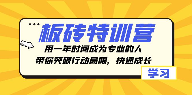板砖特训营，用一年时间成为专业的人，带你突破行动局限，快速成长网赚项目-副业赚钱-互联网创业-资源整合八方网创