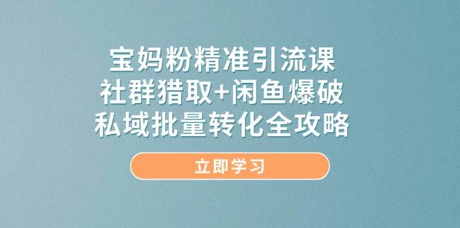 宝妈粉精准引流课，社群猎取+闲鱼爆破，私域批量转化全攻略网赚项目-副业赚钱-互联网创业-资源整合八方网创