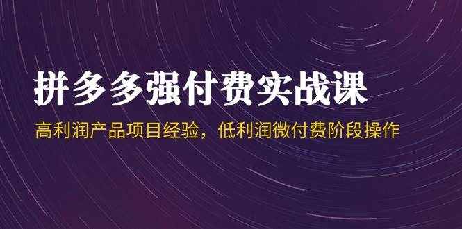 拼多多强付费实战课-44期，高利润产品项目经验，低利润微付费阶段操作网赚项目-副业赚钱-互联网创业-资源整合八方网创