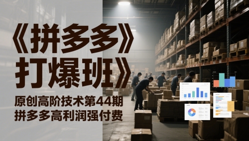 《拼多多打爆班》原创高阶技术第44期，拼多多高利润强付费网赚项目-副业赚钱-互联网创业-资源整合八方网创