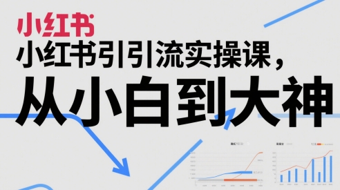 小红书引流实操课，从小白到大神网赚项目-副业赚钱-互联网创业-资源整合八方网创